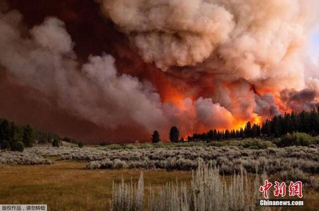 全球多地遭遇极端天气:欧洲洪灾百余死 北美山火蔓延