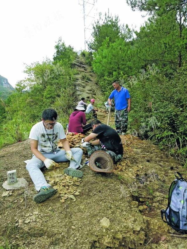 探寻地球秘密的贵州“化石猎人”