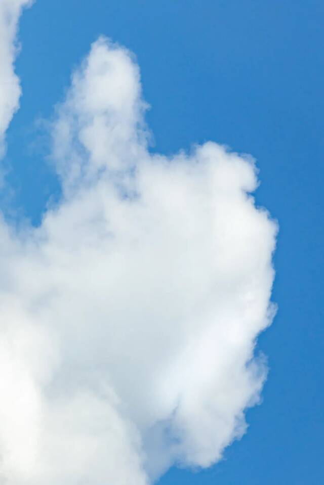 石大这片云海，撩动了整个夏日！