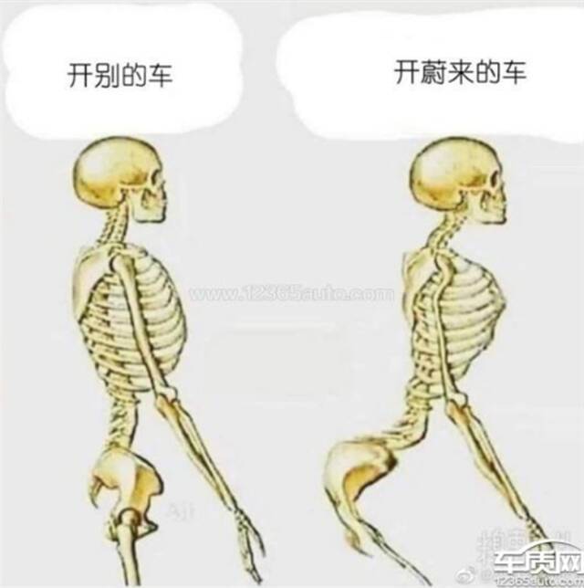 粉丝社群更名“蔚你折腰” 蔚来多位车主投诉座椅存缺陷