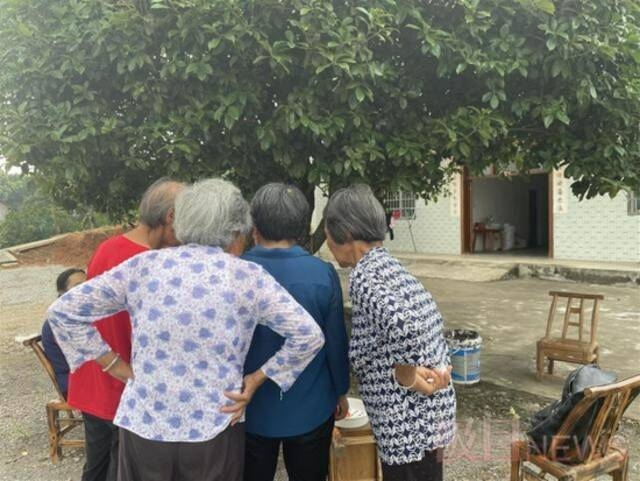 枣峰村，得知手机上有珠海的消息，陶婆婆（右一）也凑过来看