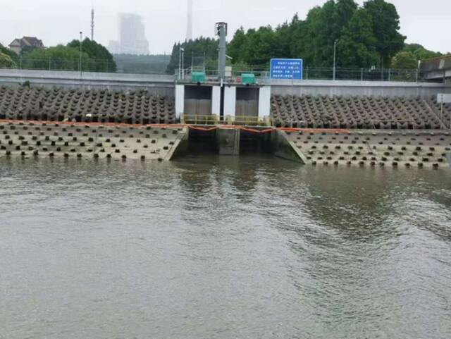 金山区6座区管水闸进行预排水