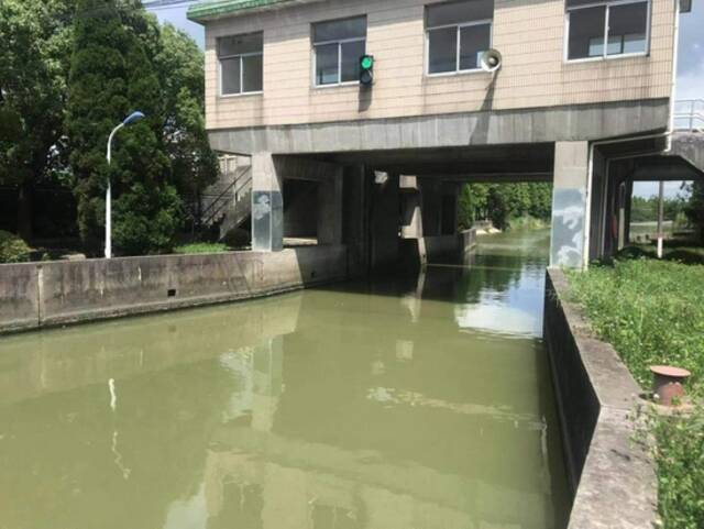 金山区6座区管水闸进行预排水