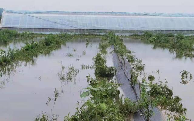 新乡基地积水正在逐步退去。受访者供图