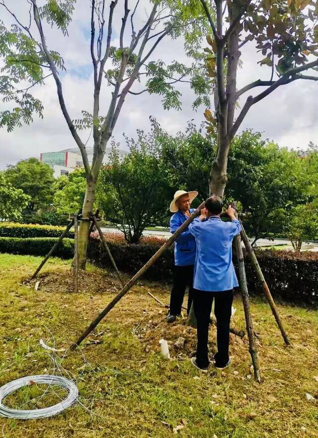 抵御台风“烟花”，上海中医药大学防护在行动！