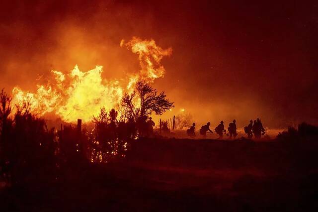当地时间2021年7月9日，美国加利福尼亚州多伊尔市，森林和消防部门的消防员进行灭火救援。人民视觉图