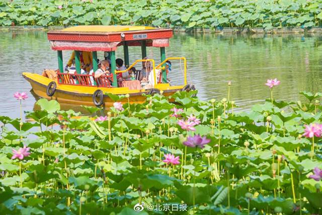 北京盛夏美景上线 北京高颜值蓝天白云