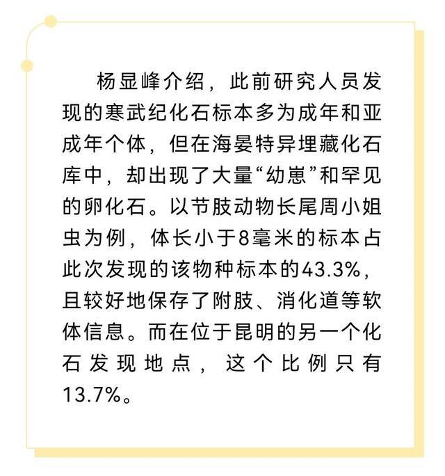 产自海晏新剖面的各类动物卵化石。云南大学古生物研究院供图