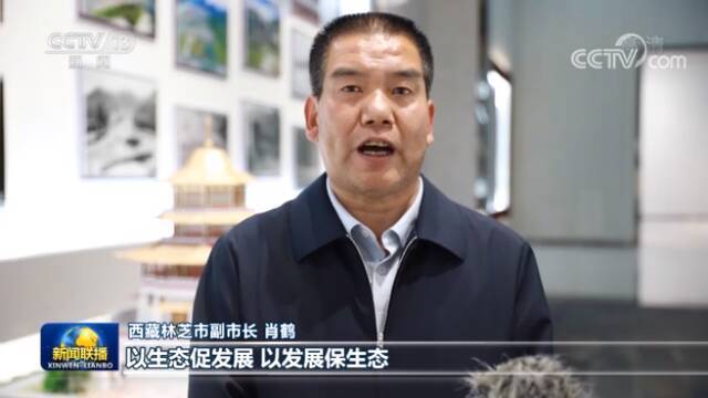 奋力谱写雪域高原长治久安和高质量发展新篇章——习近平在西藏考察引发热烈反响