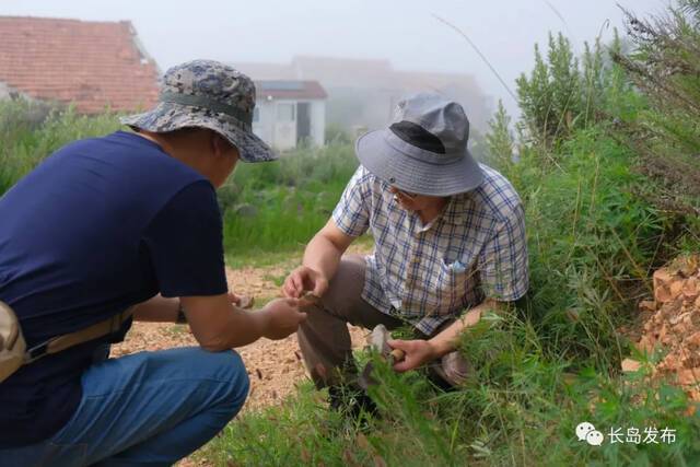 长岛发现大型旧石器时代石器制造场