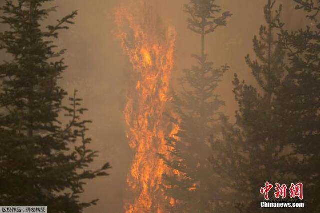88场大型山火在美国蔓延 近6000平方公里土地被烧毁