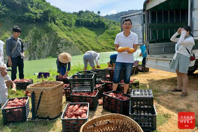 贵州省黔西南州望谟县油迈乡纳王村驻村干部与芒果种植户一起参与今年首批芒果“黔果出山”，为特色农产品销售打“call”，持续打通销售最后一公里。(贵州省黔西南州望谟县纪委监委供岑注旺摄)