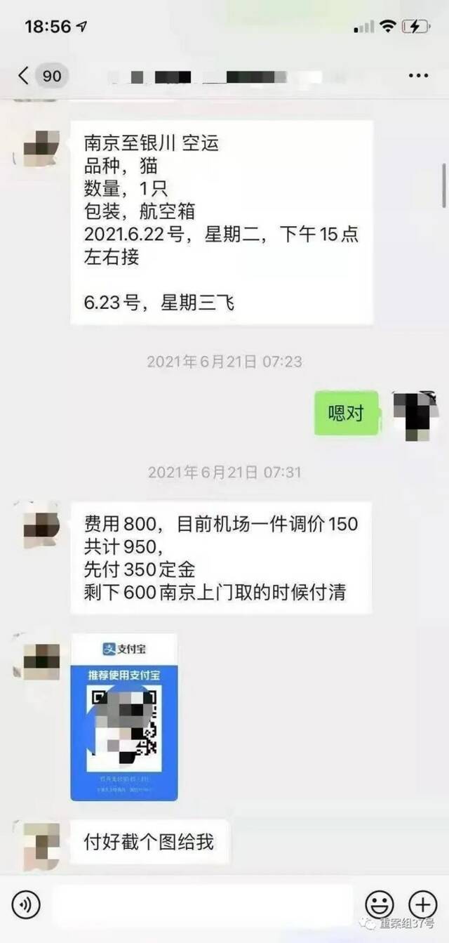 一名宠物主人与商家的托运聊天记录。受访者供图