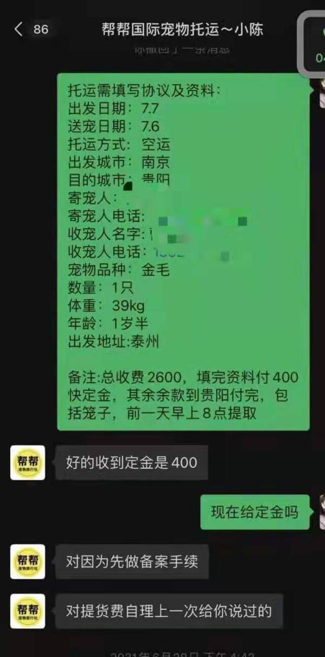 金毛犬主人与托运公司工作人员的聊天记录。受访者供图