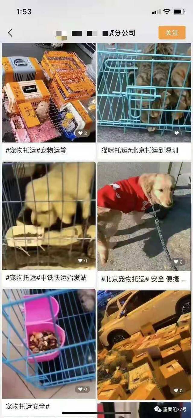 某托运公司主页介绍。受访者供图