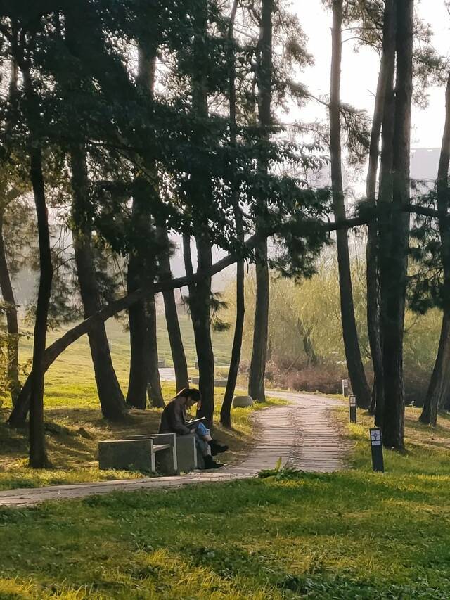 浮香绕溪山，溪溪带你闻香识贵大