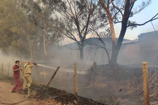 土耳其安塔利亚森林大火持续蔓延 4个社区居民全部撤离