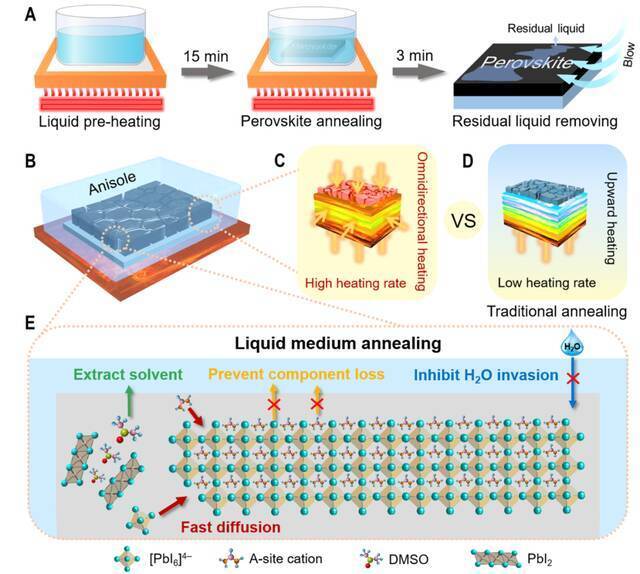 图1：钙钛矿薄膜在液相介质中退火的流程及机理示意图