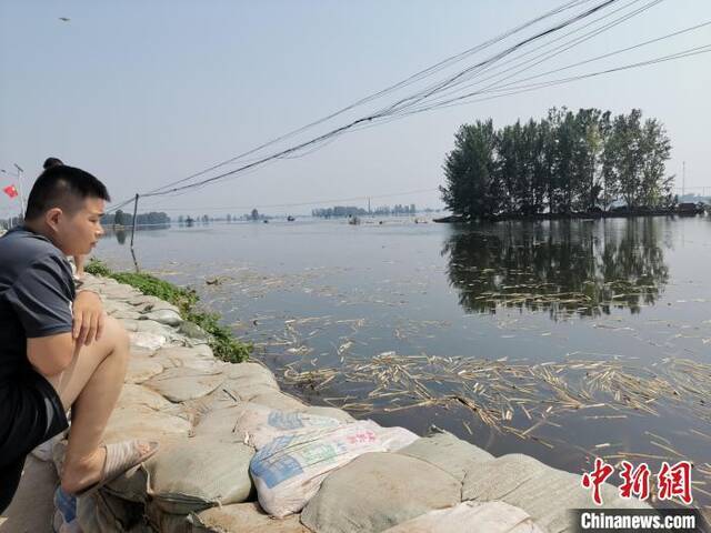 河南浚县：傅庄堤上的同心尽心和信心