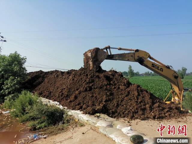 挖掘机从玉米地里取土，加高加固傅庄堤。陆祁国摄