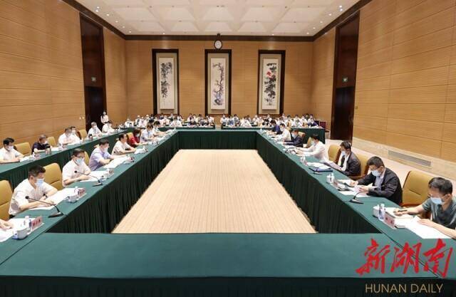 湖南省委书记：对因防控不力出现问题的严肃追责问责