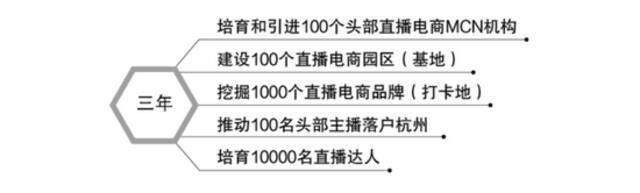 薇娅、罗永浩逐鹿江南，杭州成直播电商追梦城？