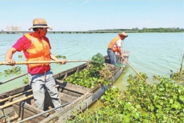 顶着“两个太阳”保护湿地明珠