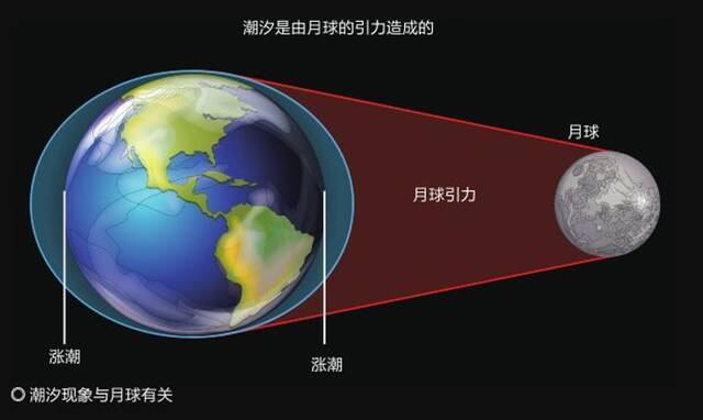 ▲资料图：月球对地球施加引力牵引作用，靠近月球的一侧受到的引力作用大于背向月球的一侧，从而导致在地球上产生潮汐