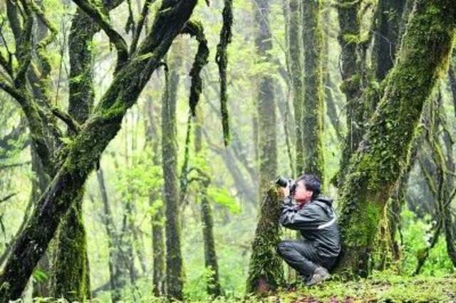 复旦大学80后博导王放在云南高黎贡山观察天行长臂猿。何亦红摄/光明图片