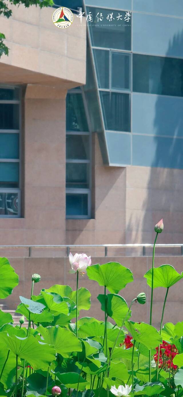 点击解锁——>把夏日的中传装进手机！