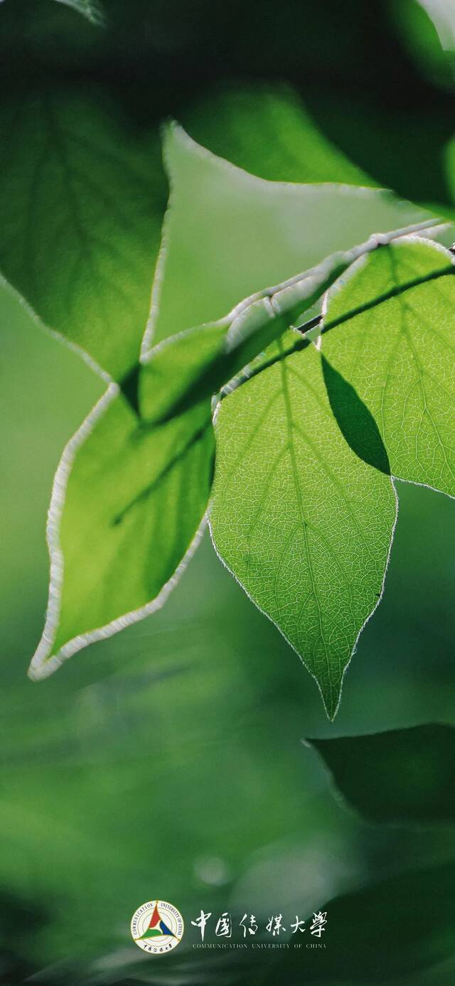 点击解锁——>把夏日的中传装进手机！