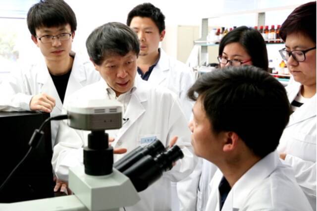 重庆英才优秀科学家王智彪带领团队研究聚焦超声治疗技术重庆市人才发展中心供图