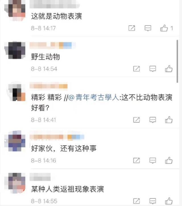 丢人！动物同志们见笑了