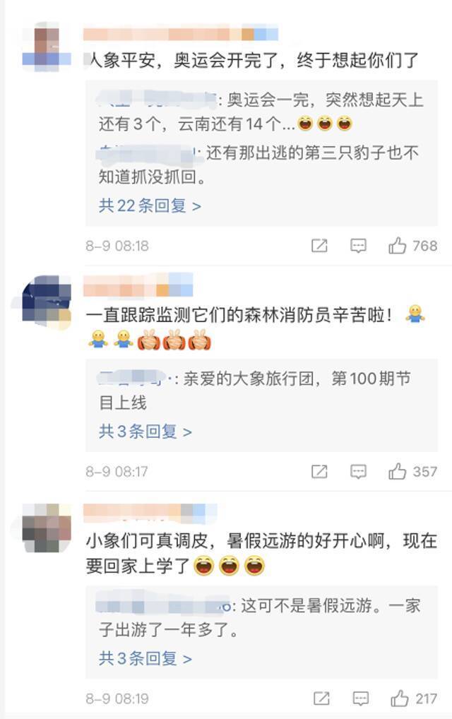 17个月，大家牵肠挂肚的象群快到家了！