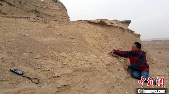 汪筱林研究员在恐龙化石采集现场。中科院古脊椎所供图