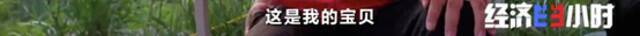 郑州完成三轮全员核酸检测！“超级工程”怎么做到的？背后的故事，令人动容！