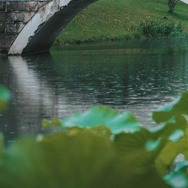 你爱我我爱你，温医温大甜蜜蜜