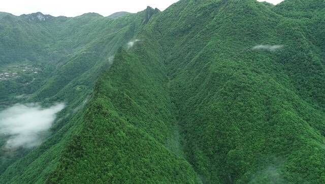 山与城丨巫山五里坡：世界自然遗产地隐藏着什么？