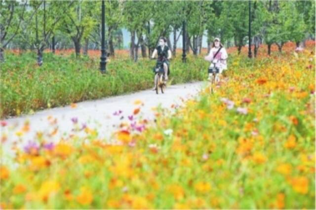 阵雨加升温30℃+的天气回来了