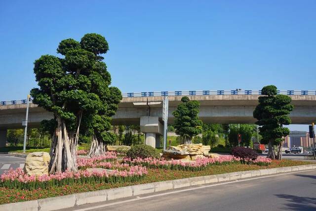 你有没发现？重庆这些街头变“靓”了