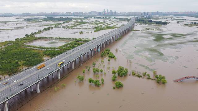 2021年8月13日，哈尔滨，松花江水位持续上涨，高出正常景观水位近两米，堤坝内的树木、田地已经泡在水中。人民视觉图