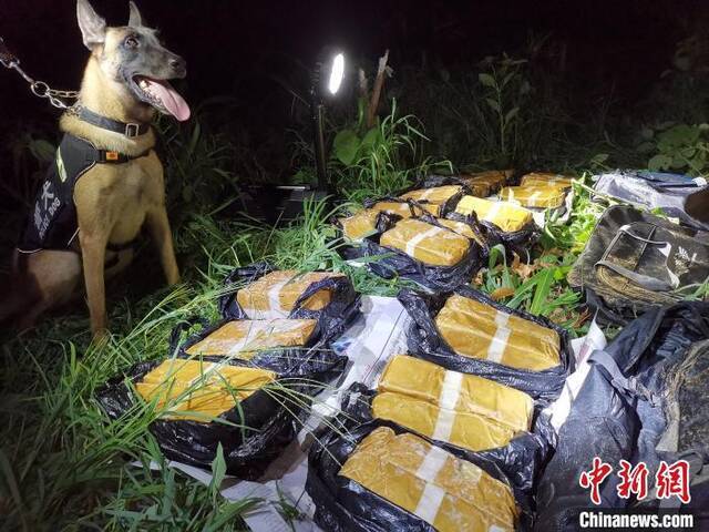 图为在警犬“鹰空”的协助配合下，民警缴获毒品冰毒35.524公斤。文海东摄