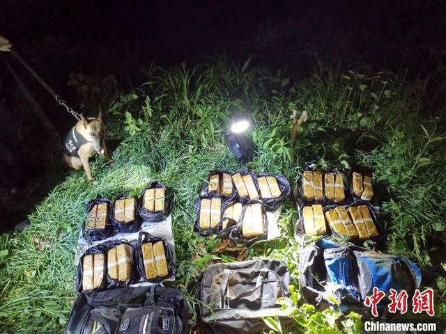 中缅边境警犬夜间搜寻 “嗅”出冰毒逾35公斤