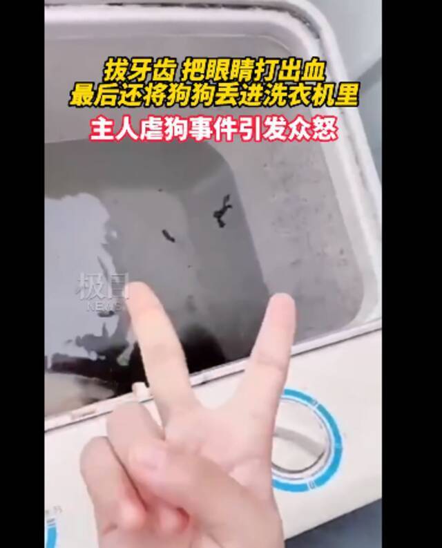 网传小狗遭拔牙后被丢进洗衣机搅，拍摄者还用手比划胜利手势