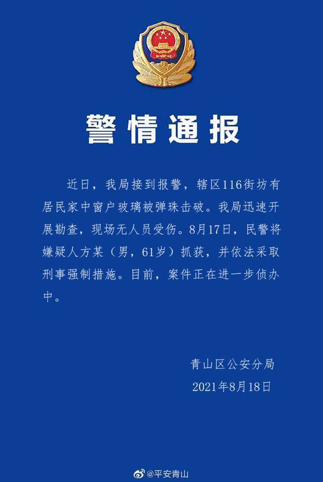 武汉警方通报居民家中遭钢珠袭击案件：61岁嫌疑人已被抓获