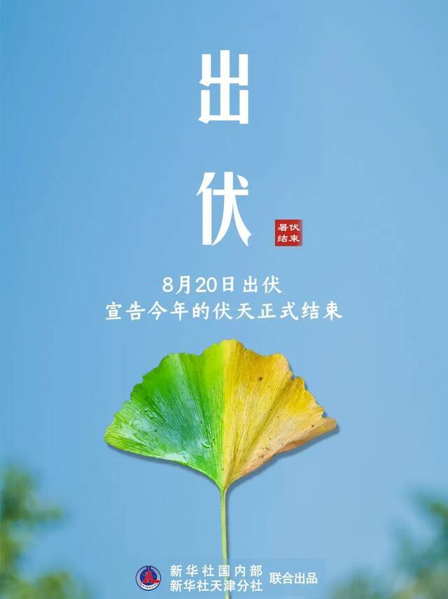 未来几天浙江午后多雷阵雨！后天出伏，还要当心“虎”出没