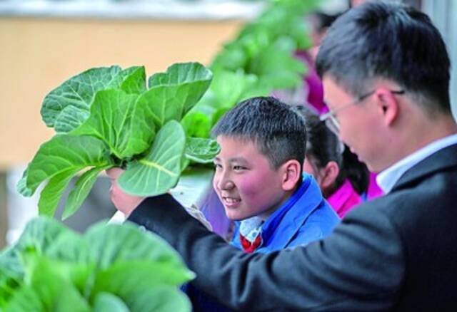 浙江丽水市莲都区高溪小学的学生在老师的带领下，在教学楼走廊上观察成熟的蔬菜及根须。新华社发