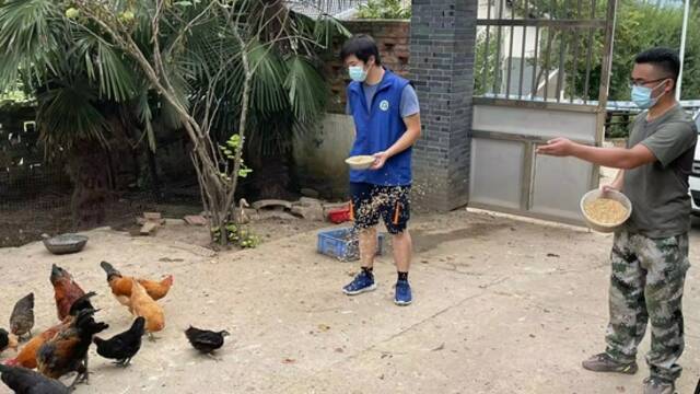 毕鹏和胡强在村民家里帮忙喂鸡
