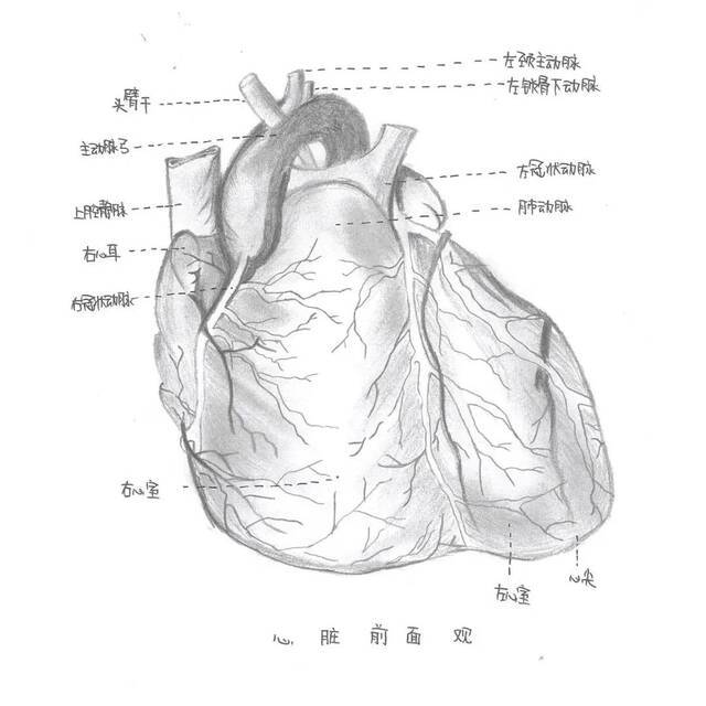 来吧，展示！兰大医学生们的艺术灵感是真的强！