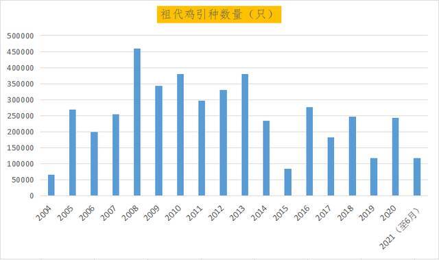 中国蛋鸡40年：四大育种困境待突破 未来20年是黄金期